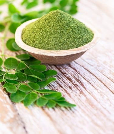 Moringa naturel riche en fer et vitamines — Bienfaits Sunnah Maroc