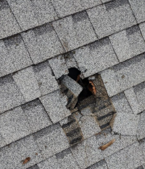 Professional roof repair service fixing storm damaged shingles on Charlottesville VA home