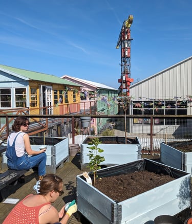 Creative Garden preparation