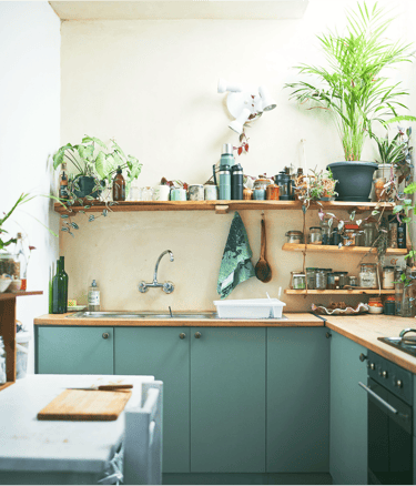 Small Kitchen Design and planters
