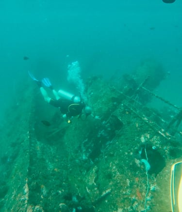 A scuba diver explores a rusted shipwreck on the ocean floor surrounded by marine life.
