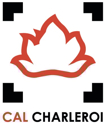 atelier créatif charleroi belgique broderie