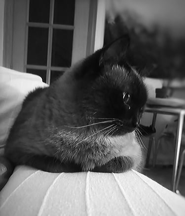 15º ClasificadoConcursillo Octubre 2025 BN