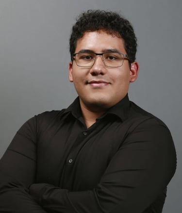 CEO o DIrector General de Stervnova