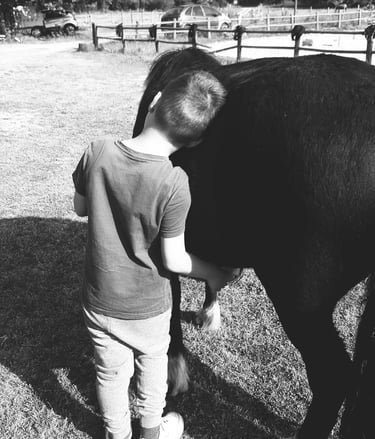 Enfant posant sa tête contre le dos de son poney et mettant sa main sous son ventre