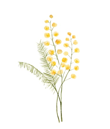 fleur du sud