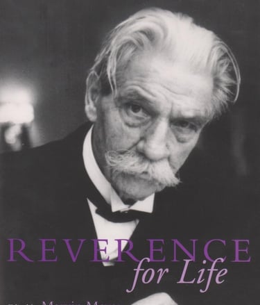 a man in a tuxedo suit and bow tie