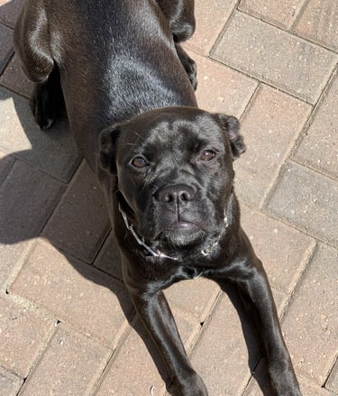 Here's another one LOL