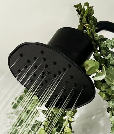Afina filtered shower head: The Best Filtered Showerhead