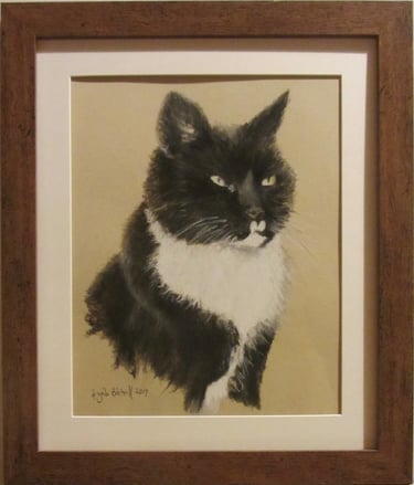 Commissioned portrait of black and white cat, taken from owner's photograph, drawn in soft pastel