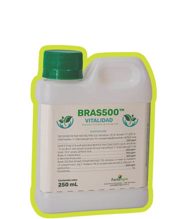 comprar hormonas para plantas brasinoesteroides vitalidad rejuvenecer plantas