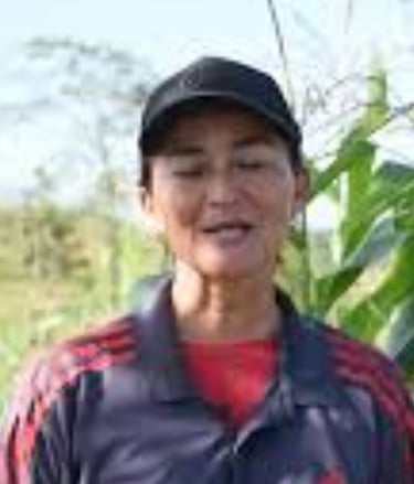 Agricultor usando guadaña TL43 en labores de campo