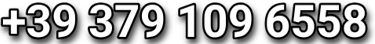 Numero telefono wtsup