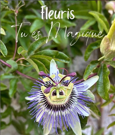 fleuris tu es magique : la voie du coeur par magie de la vie