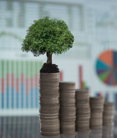 Equity on Renewable