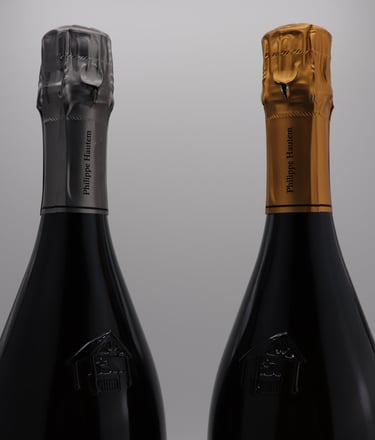 Blanc de Noirs & Blanc de Blancs du Champagne Philippe Hautem