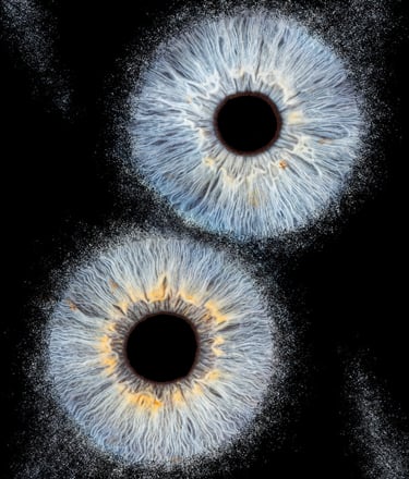 photohraphie iris narbonne