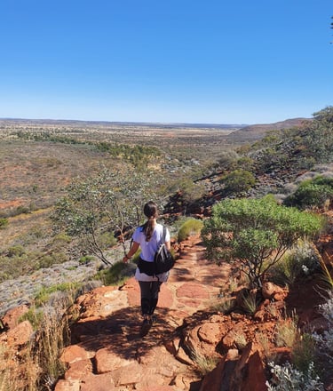 Descenso por Kings canyon south wall