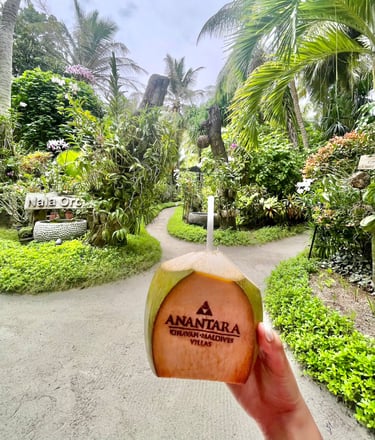 Anantara Kihavah Maldives coconut