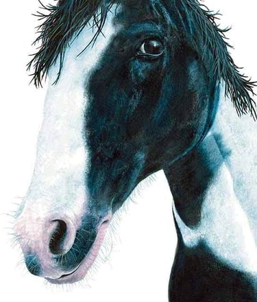 Painting of a black and white horse with a white background