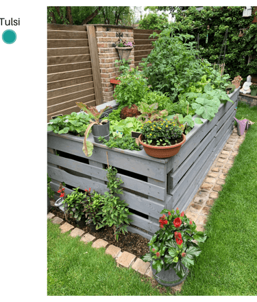 Permaculture Guilds