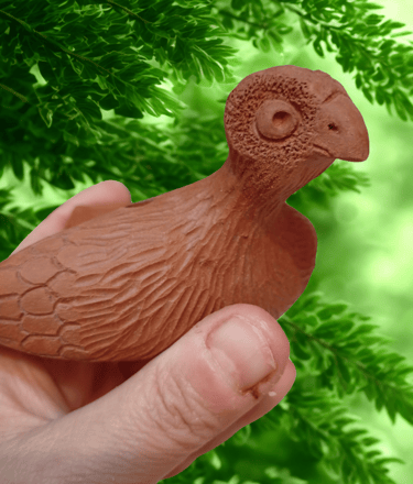 Ocarina de dos sonidos, ave