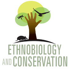 Conservation education promotes positive short- and medium-term changes in perceptions and attitudes