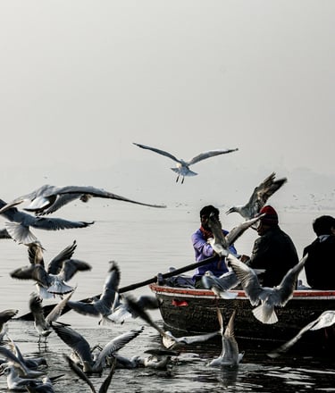 Hand boat booking in varanasi