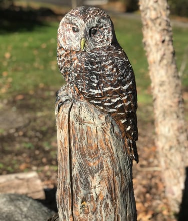 barred owl tree carving art stump