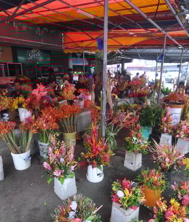 suva flower market, fiji