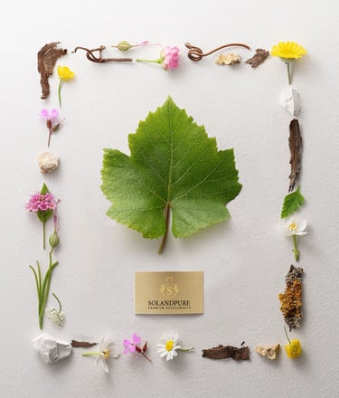 El arte de la belleza eterna