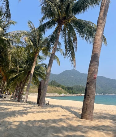 Cham Island Wietnam plaża