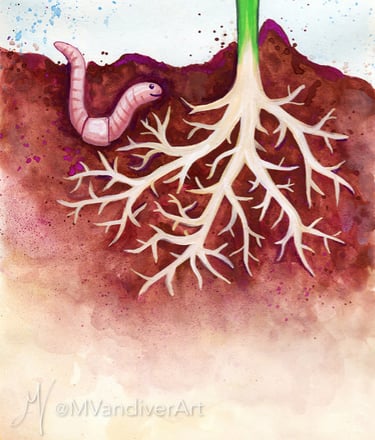 Illustrations from The Rose Without A Name by New Orleans artist Melissa Vandiver.
