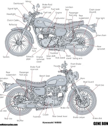 Kawasaki W800 drawing