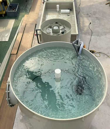 aquaponic system