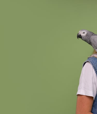 cuidado de animales a domicilio