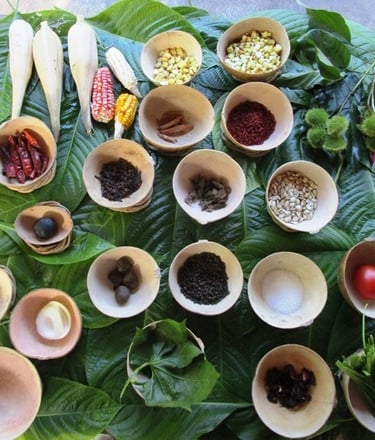 Curso de cocina tradicional maya en la comunidad maya de tres reyes