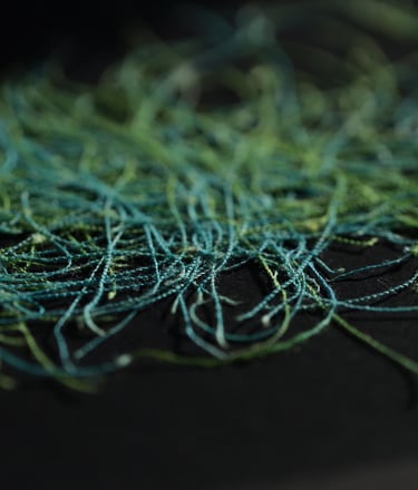 The “Points d’attaches” was created between 2020 and 2021. This is the very first collection in whic