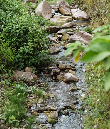 เช่ารถเที่ยวน่าน พร้อมช่างภาพ บริการพาเที่ยวพร้อมถ่ายภาพสวยๆ