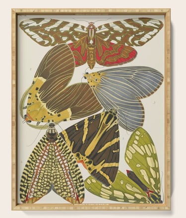 E.A. Seguy moth serving tray