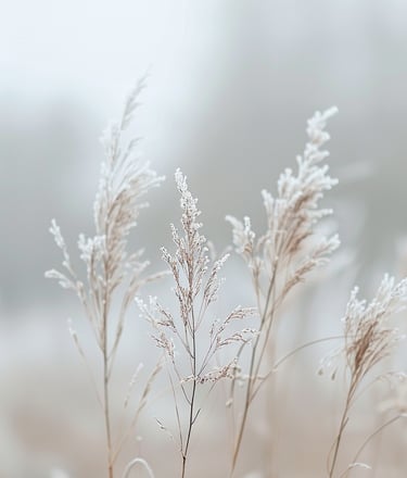 A calm, softly lit natural scene representing reassurance and the feeling that nothing is wrong duri