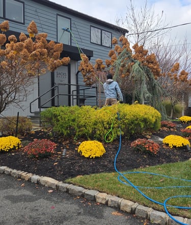 Professional exterior window cleaning