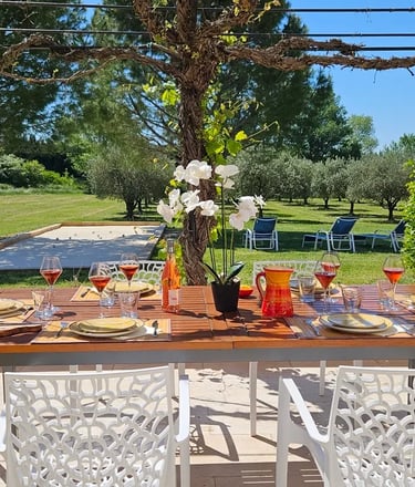 sur la terrasse la table est dressée, une orchidée,, verres de vin remplis de rosé et vue sur jardin
