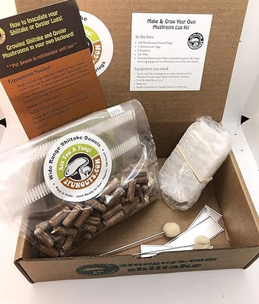 a box of wood chips in a box