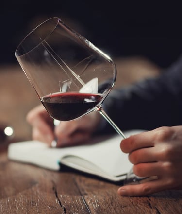 conseil pour cave à vins sur Annecy et en Savoie