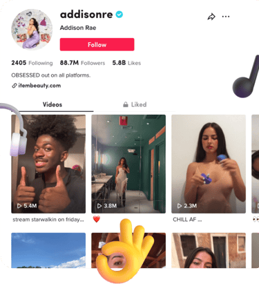 TikTok Video Downloader