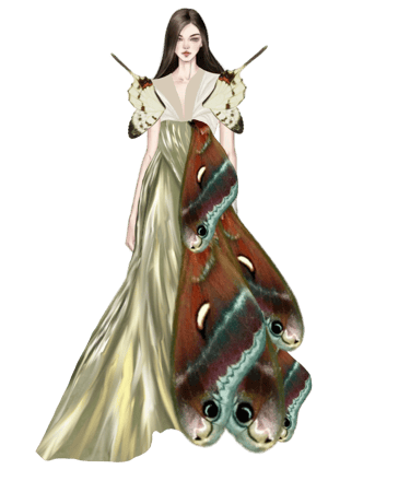 butterfly gown