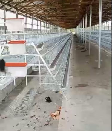 Battery cage
