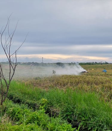 Contaminación Quema de arrozales Bali 2026