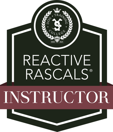 Reactive Rascal Instructor